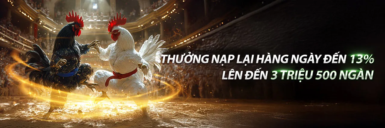 Nền tảng cá cược trực tuyến TOT88